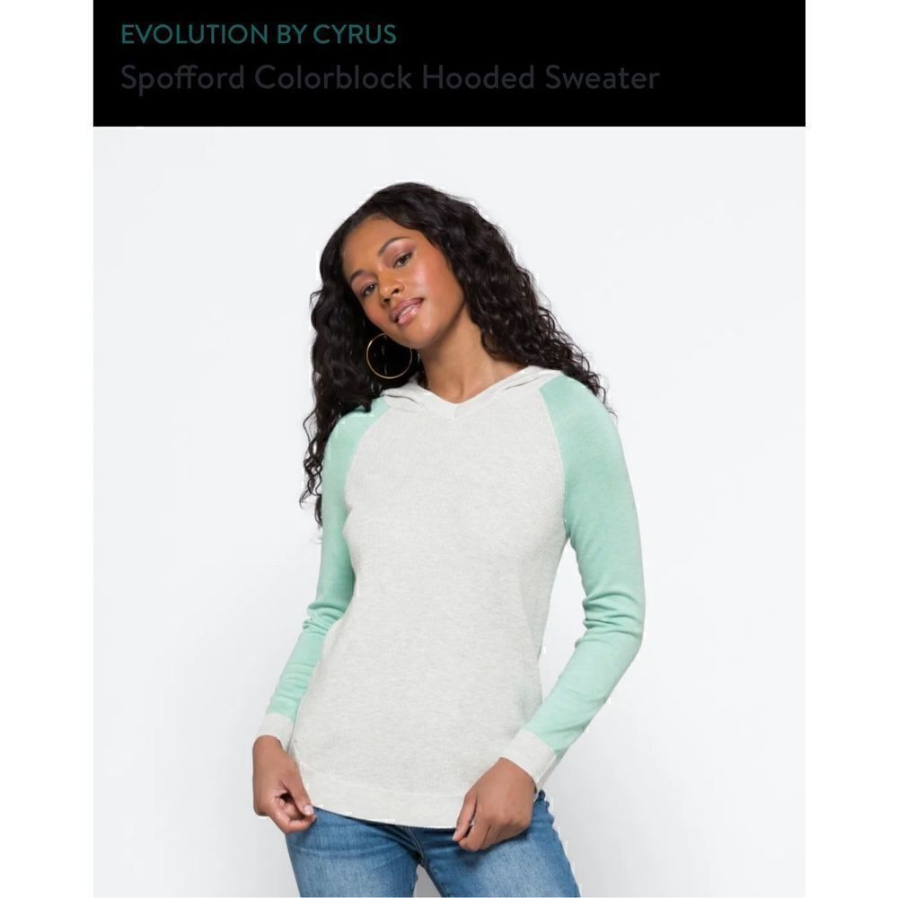 Colorblock Hoodie Sweater  